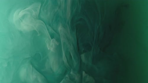 Dark Fluids
