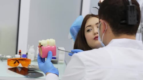 Dentist Explaining Teeth Model to Young Woman