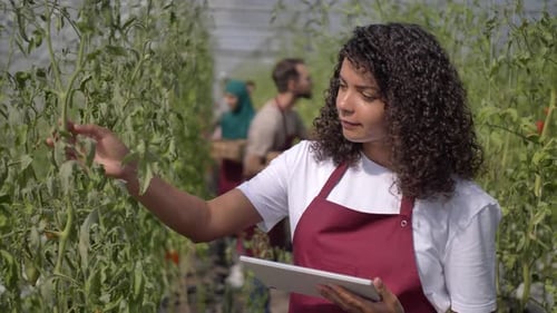 Woman Using Tablet in Bright Greenhouse