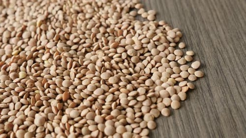 Pile of Brown Lentils on Wooden Surface