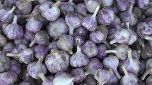 Knoblauch ist in der nahöstlichen und arabischen Küche unverzichtbar, da er in vielen Lebensmitteln enthalten ist.