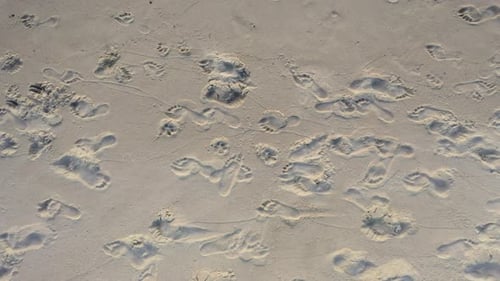 AERIAL: Top View Shot while Panning of Human Footprints in the Sand
