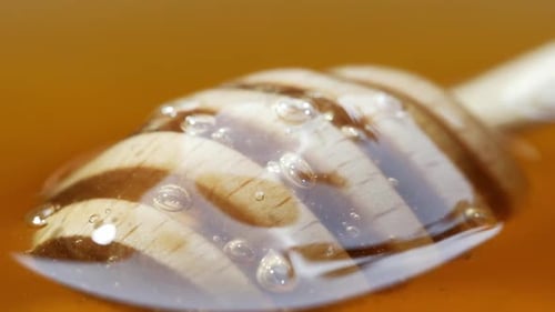 Close Up Fresh Thick Fluid Acacia Honey Pouring and Flowing From Wooden Dipper Spoon Over Black