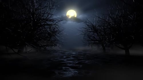 Dark Forest