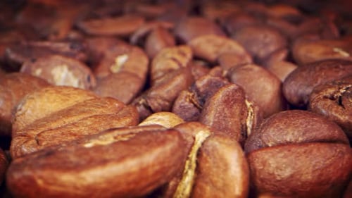 Detailed Close-Up of Roasted Coffee Beans