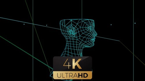 3D Wireframe Human Head Build and Breakdown Animation