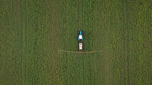 Top View of Tractor Treats Agricultural Plants on the Field