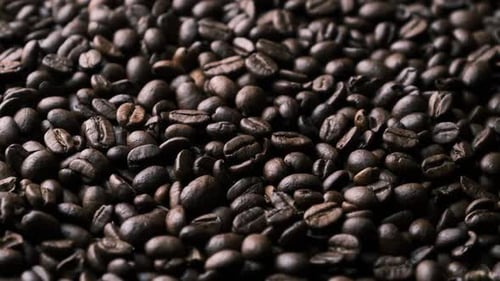 Close Up Panning Shot of Roasted Coffee Beans