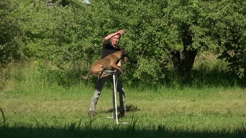Man Is Training His Dog.