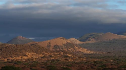 Savannah landscape in Tsavo Park, Mountain and forest, Kenya, Slow motion