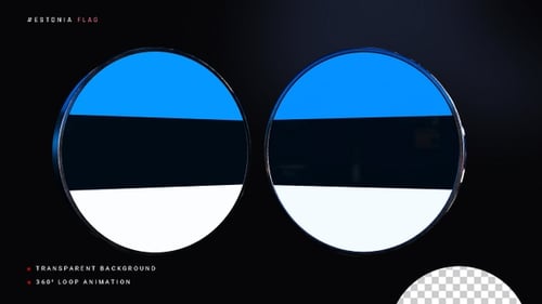 Clean 3D Estonia Flag Spinning Disc Animation