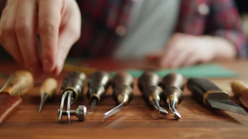 Werkzeuge von Craftsman Closeup
