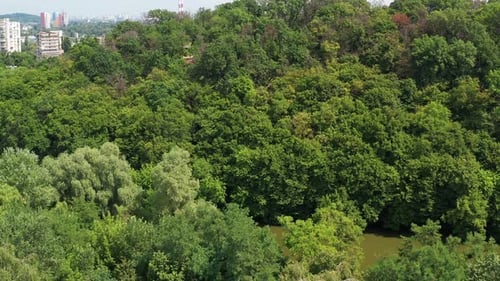 Schöne Aussicht von oben auf den Park, Wald mit viel Grün bedeckt. Kleine Häuser im Hintergrund.