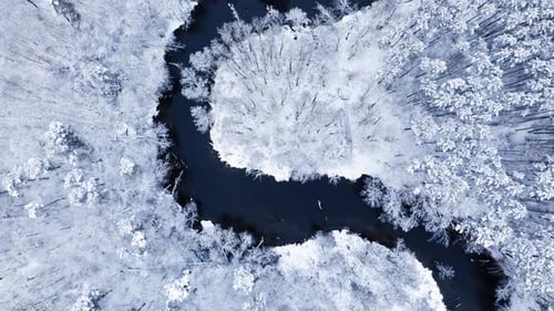 White frozen forest and curvy river in winter, aerial view