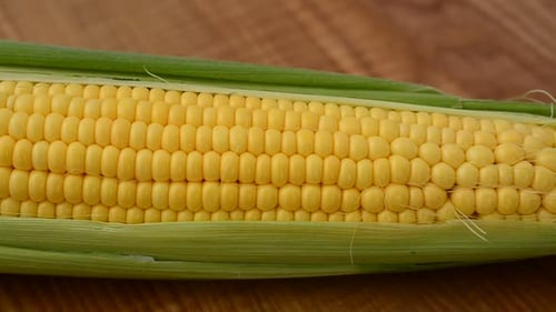Fresh Corn on the Cob Close Up