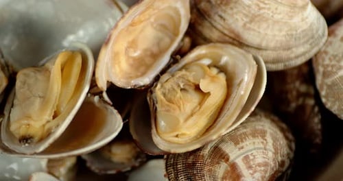 The Boiled Open Vongole Mussels Rotate.