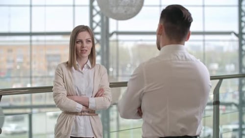 Beautiful Businesswoman Speaking With Colleague