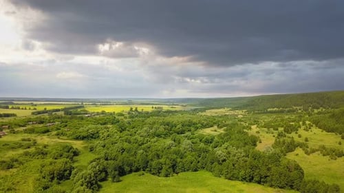 Aerial View of Green Fields and Forest