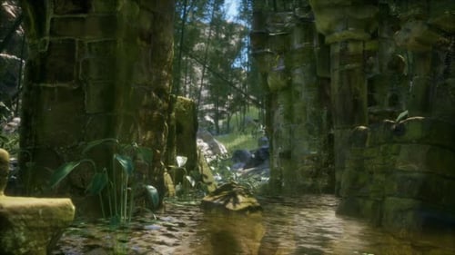 Ancienne maison en pierre en ruine envahie de plantes et de fougères dans une forêt verdoyante