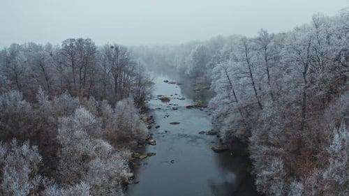 Forêt et rivière en hiver. Vue aérienne de la forêt et de la rivière en hiver