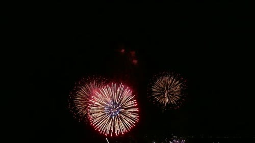 Colorful Firework display at night on sky background