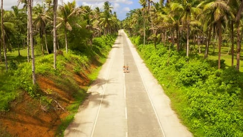 Aerial View of Young Couple of Tourists Walking on the Road Among Coconut Palms. Bali Island