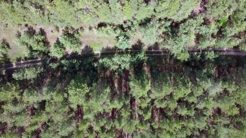 Aerial View of the Road Between the Forest