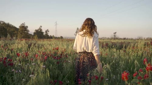 Girl walking on a blooming field