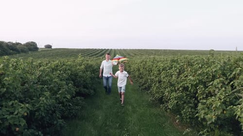 Father and Son Are Flying a Kite in the Green Field