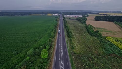Passeio de carro na estrada pela floresta no campo