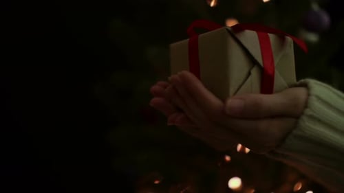 Christmas Gift Presented in Warm Holiday Ambiance