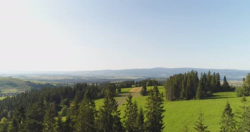 Flying Over the Beautiful Forest Trees. Landscape Panorama.