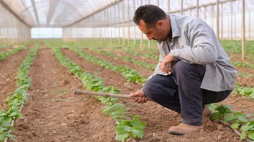 Farmer Working