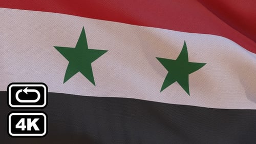 Realistic Waving Syria Flag Loop Background