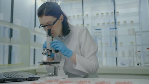 Female Scientist Examining Samples Under Microscope in Lab