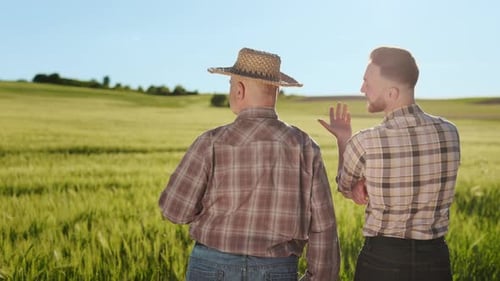 The Old and Young Farmer are Standing By the Field and Talking Emotionally