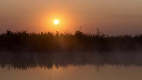 Herbstlandschaft, Schilf vor Morgennebel und der orangefarbenen Sonne, Hintergrund
