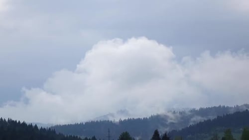 Clouds Form Over Forest on Slopes of Hills, Time Lapse