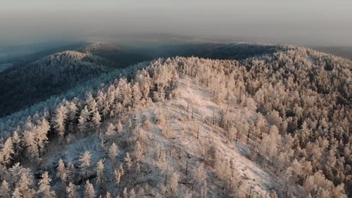Flying Over Snow Covered Forest in Mountains