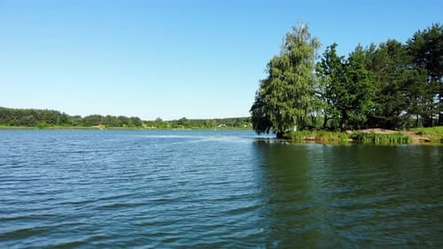 Lake and Forest in Summer