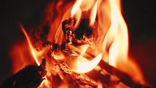 Fire Flame Smoldering Tree Beautiful Bonfire