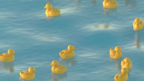 Yellow Rubber Ducks Floating on Blue Water Loop Animation