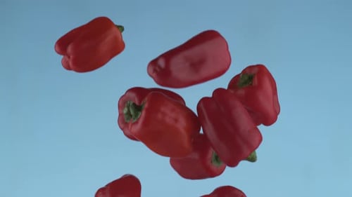Red Bell Peppers Falling Against Blue Background