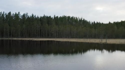 Flying forwards through the forest towards a mirrored calm river with reflections of the clouds and