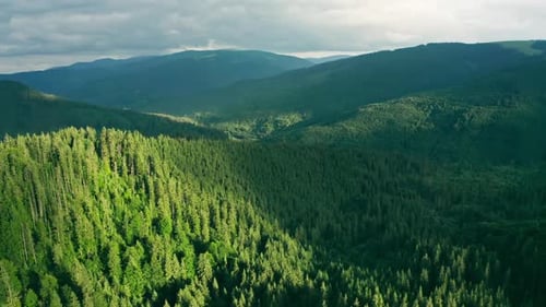 Hill Valley, Berge, Baum, Wald, Pinien, Sonne, Sonnenuntergang, Natur, Pflanze