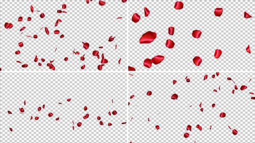 Rose Petals Falling Pack