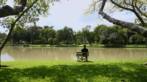 Seul homme assis sur un banc au bord du lac dans le parc Concept de solitude dans le monde moderne