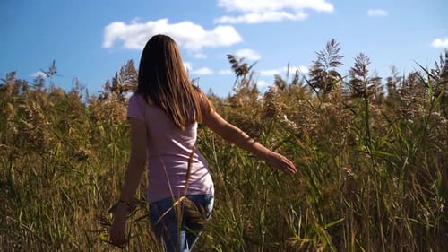 Rear View of Young Woman or Girl in Pink T-shirt and Blue Jeans Walking in Slow Motion Through Field