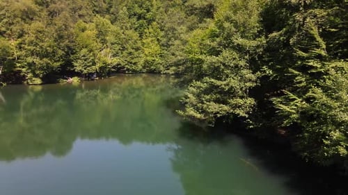 Wooded Lake Forest