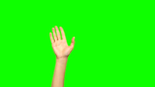 Hand Waving Against Green Screen Background Welcoming You